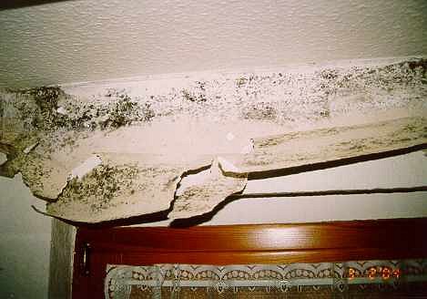 Schimmelpilzschaden im Sturzbereich (1/2)