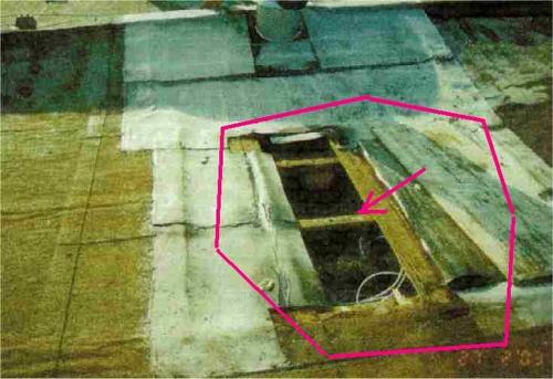 Schwamm (Oberflächenmyzel) an Brett (3/3)