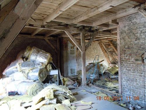 Holzgutachten in Berlin