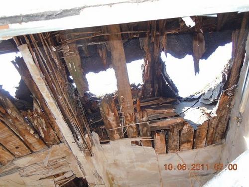 Holzgutachten in Rathenow