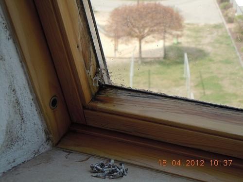 Bauwerksuntersuchung in Rathenow